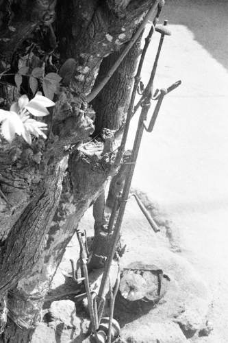 Pátio do convento Dagoun - 29 de janeiro de 1996 - Uidá, Benim